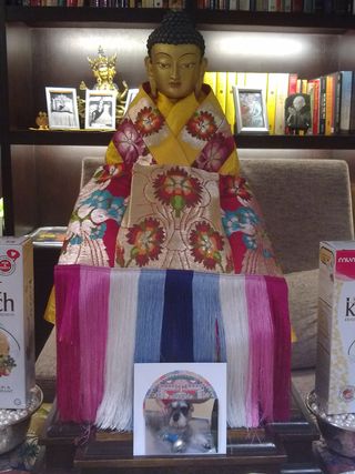 Medicine Buddha statue obtained and dedicated to Mumu's healing.