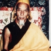 བླ་མ་ཆེ་བའི་སྐུ་པར། (རིན་མེད་ཕབ་ལེན།)